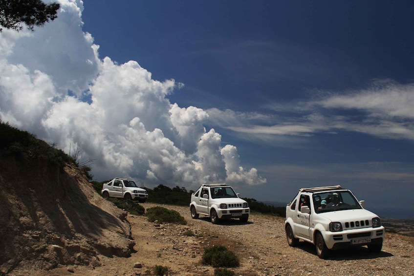 Picture 1 for Activity Rhodes: Self-Drive 4x4 Safari Tour with North Pickup