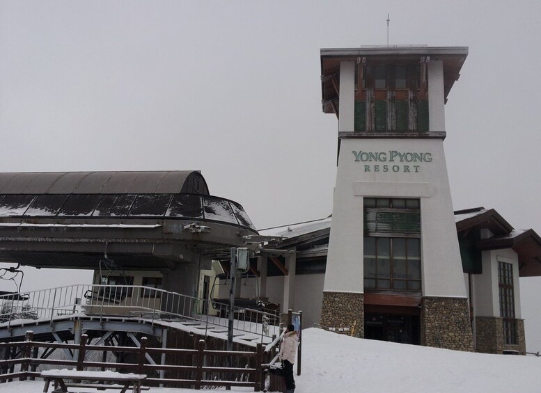 Picture 2 for Activity From Seoul: Yongpyong Ski Day Tour with Transportation