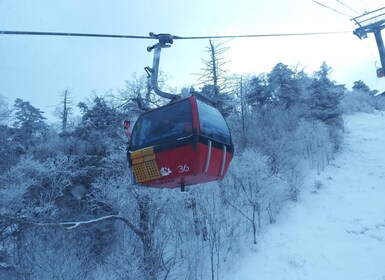 From Seoul: Yongpyong Ski Day Tour with Transport