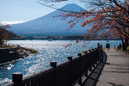 Full Day Mount Fuji private Trip With English Speaking Driver
