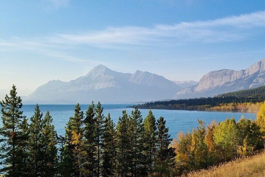 4 Hours Private Tour in Kootenay Plains Trails