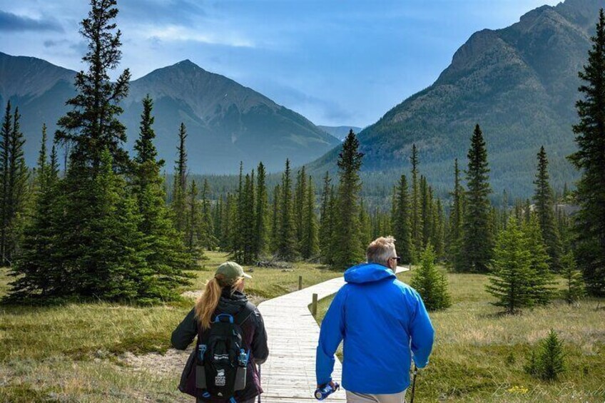 4 Hours Private Tour in Kootenay Plains Trails