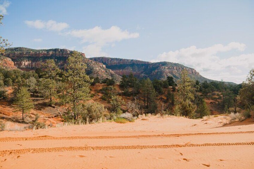 Coral Pink Sand Dunes UTV Sandboarding and Slot Canyon