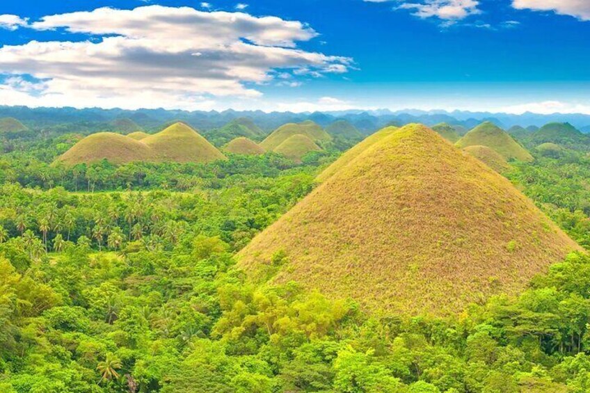 From Cebu: Bohol Countryside Private Tour