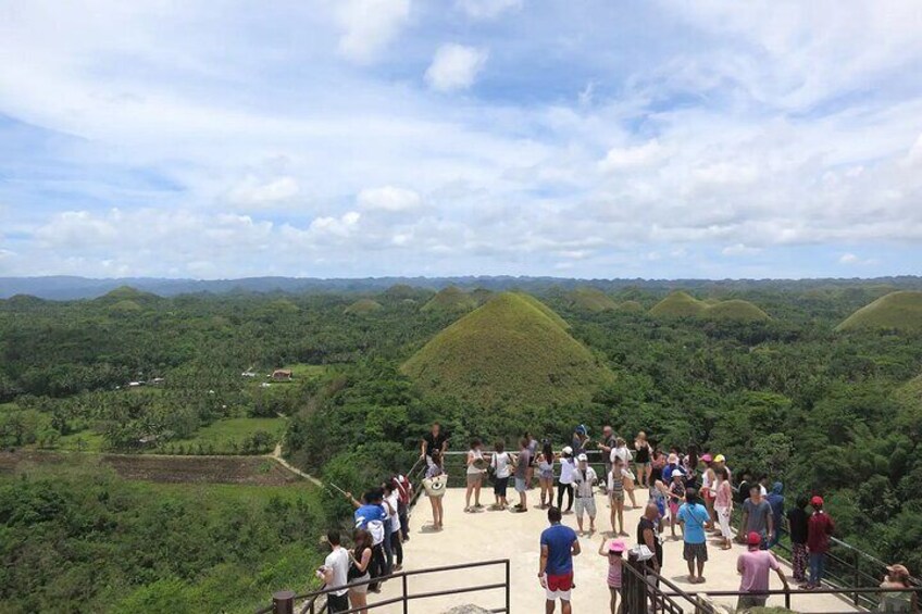 From Cebu: Bohol Countryside Private Tour