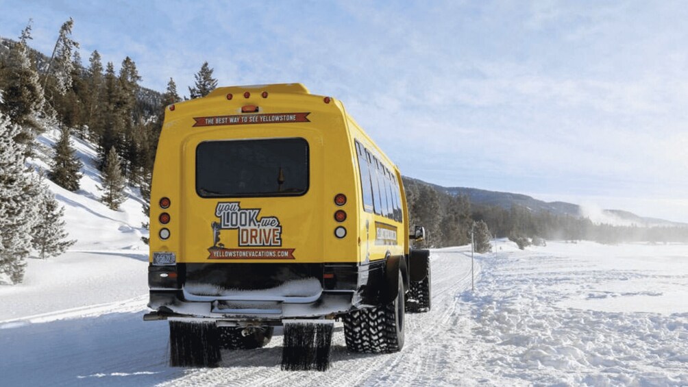 Picture 29 for Activity Bozeman: 6 Day Yellowstone Winter Wonderland Tour
