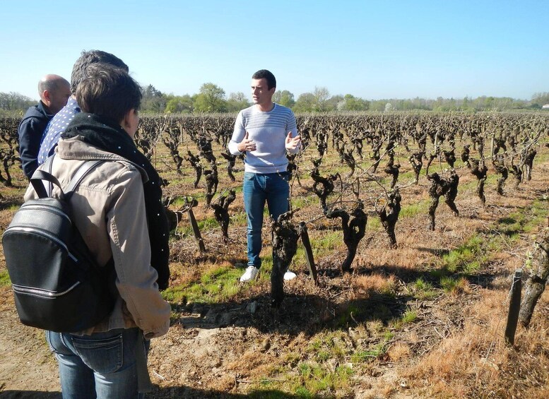 Picture 5 for Activity Château du Bois-Huaut: Cellar Tour and Wine Tasting Class