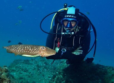 Puerto Del Carmen: Try Suba Diving with 2 Dives and Photos