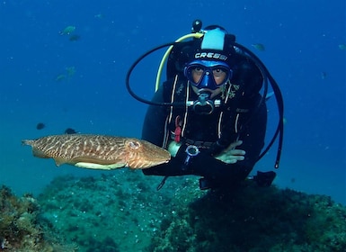 Puerto Del Carmen : Essayez la plongée sous-marine avec 2 plongées et photo...