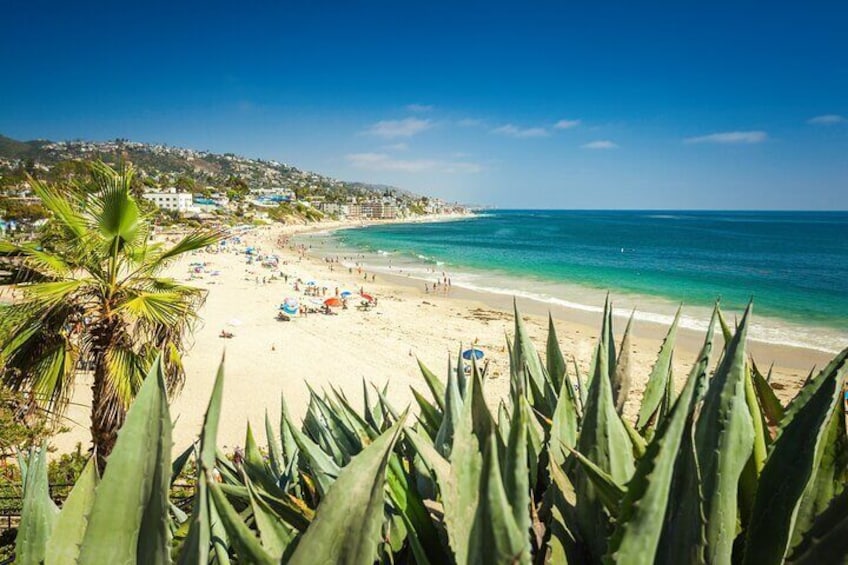 Sun, Art, and Sands in Laguna Beach Family Adventure