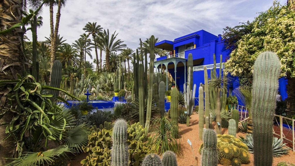 Picture 8 for Activity Marrakech: Majorelle Garden and Hidden Souks Shopping Tour