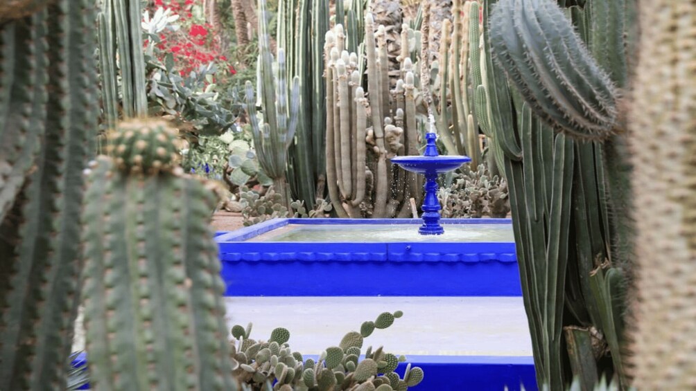 Picture 2 for Activity Marrakech: Majorelle Garden and Hidden Souks Shopping Tour