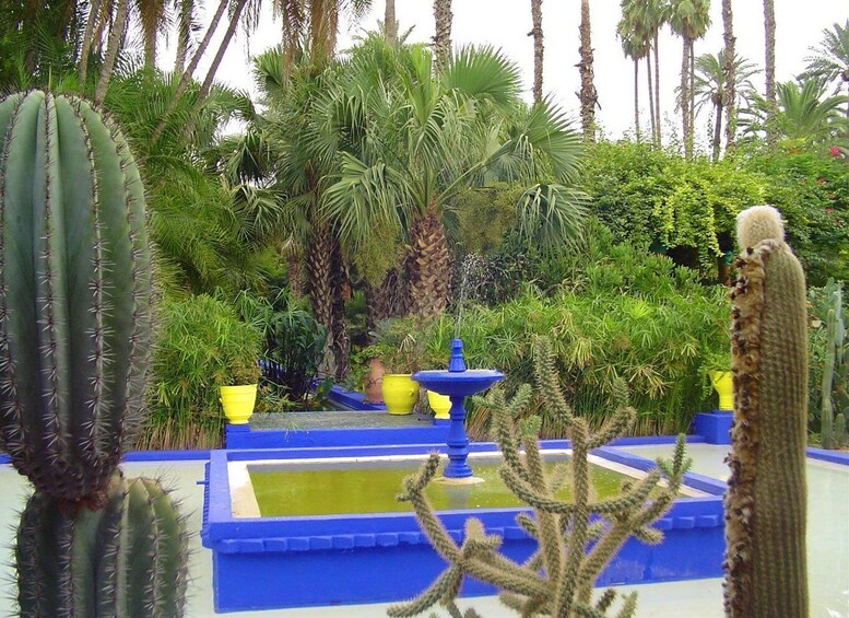 Picture 7 for Activity Marrakech: Majorelle Garden and Hidden Souks Shopping Tour