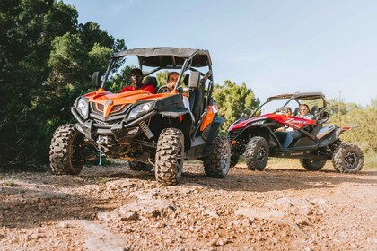 Ibiza : Excursion touristique en buggy