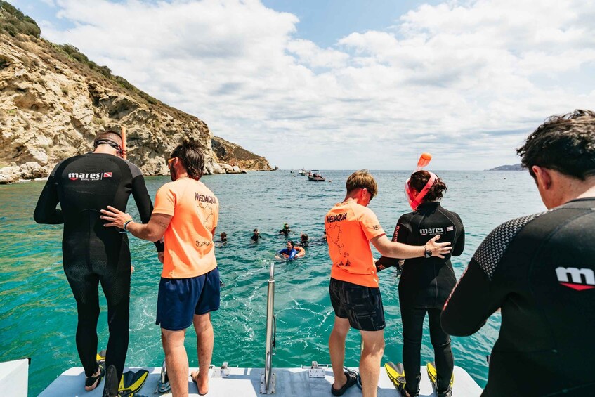 Picture 9 for Activity From L’Estartit: Snorkeling Trip to the Medes Islands