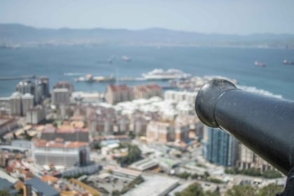 Från Malaga: Dagsutflykt till Gibraltar