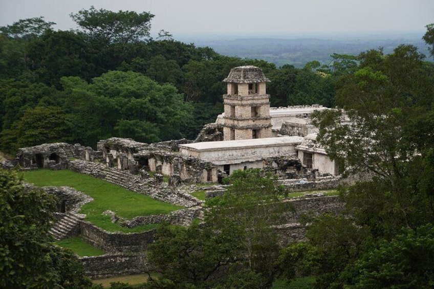 Tour to the Archaeological Zone of Palenque