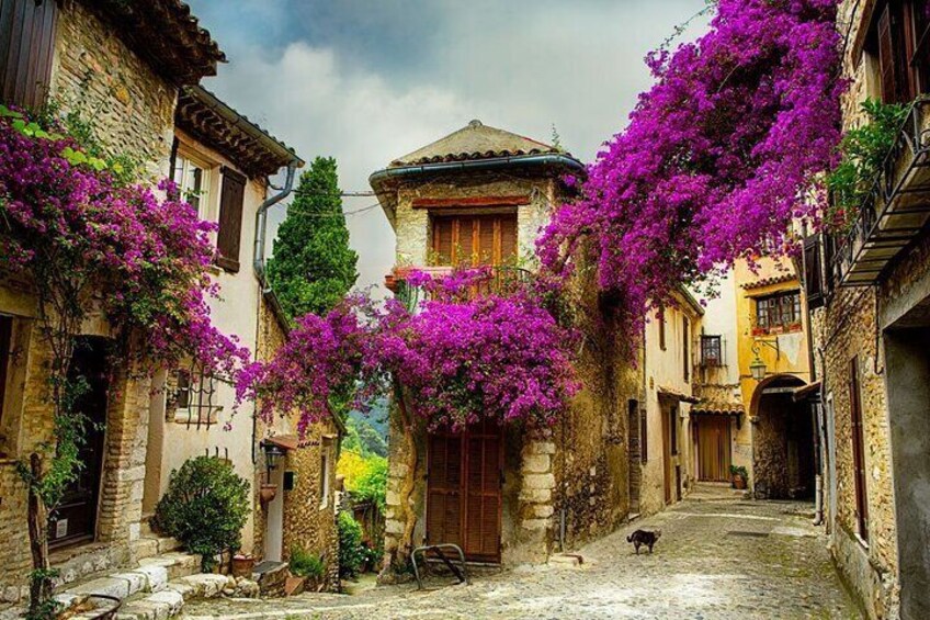 Medieval Villages of the French Riviera Private Tour