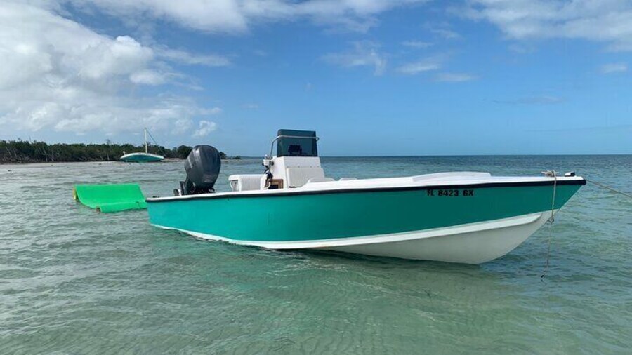 Private Boat Tour to Sand Bar Snorkel Dolphins and Sunset
