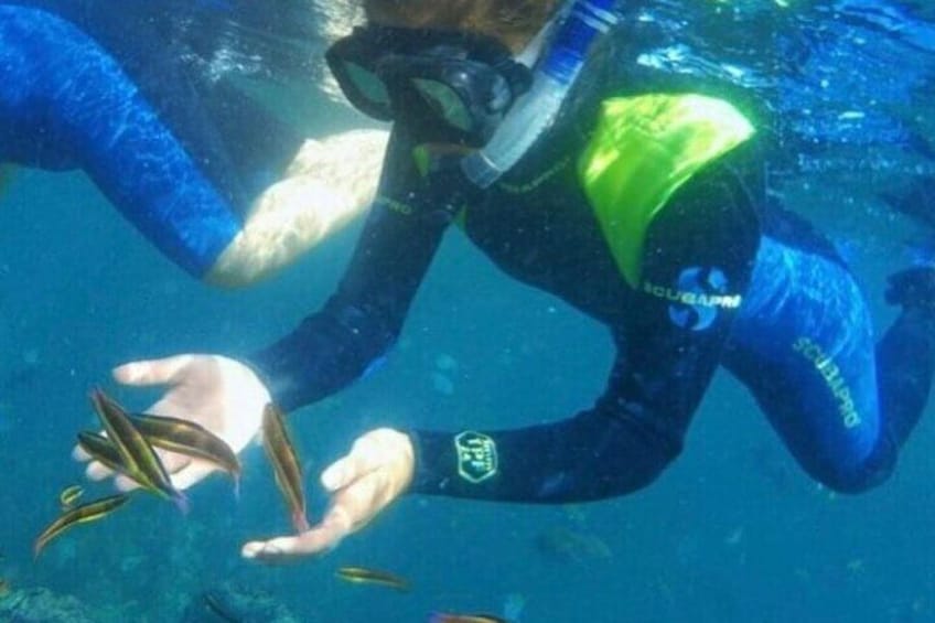 Snorkeling