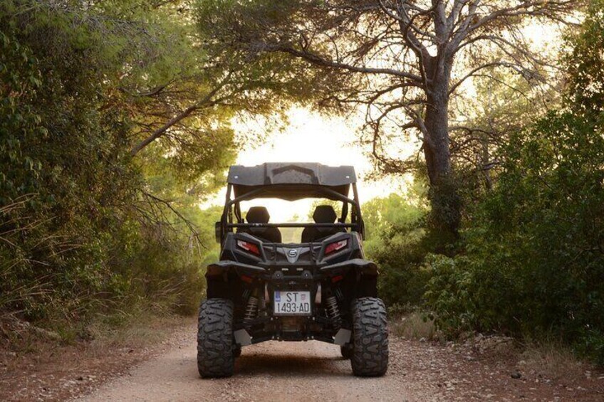 Adrenaline Quad Safari Tour