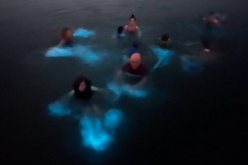When it glows it really glows at the bioluminiscent bay!