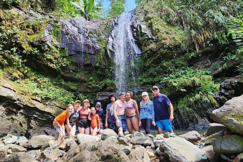 Tropical Rainforest Waterfalls & Panoramic Views Experience