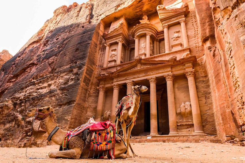 Picture 1 for Activity From Amman: Petra Private Full-Day Round-Trip Transfers