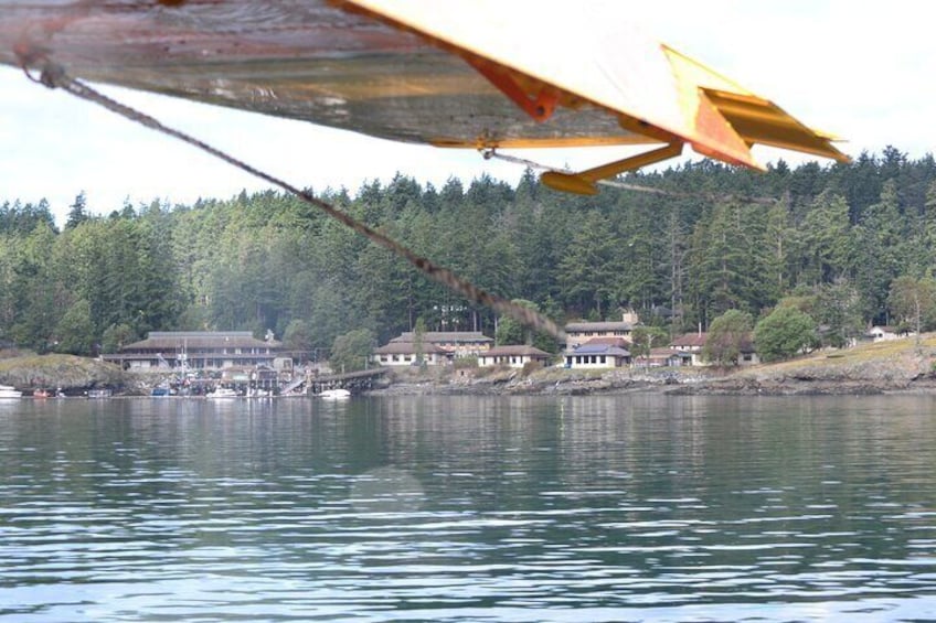 3 Hours San Juan Island Seaplane Tour from Seattle