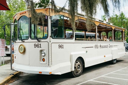 Savannah: recorrido histórico y turístico en tranvía