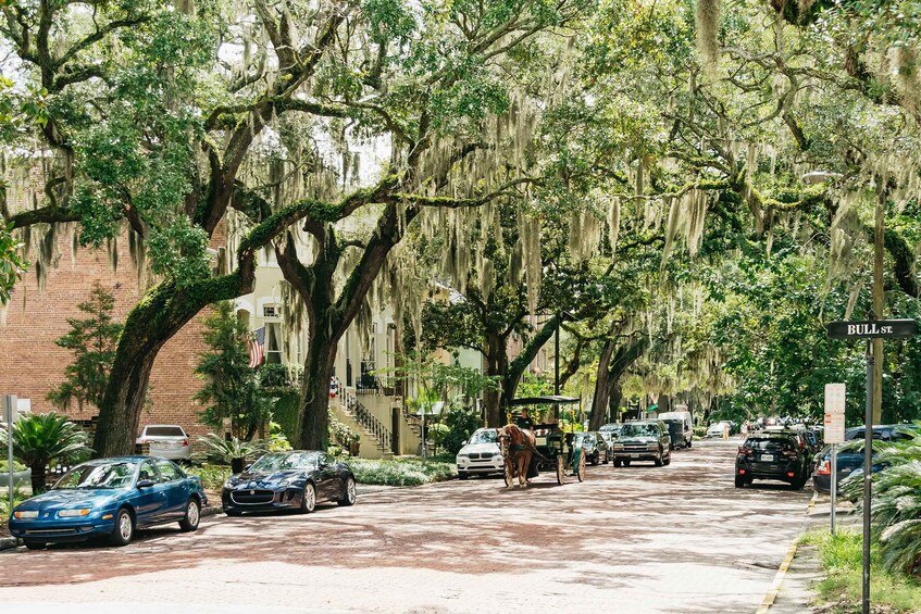 Picture 10 for Activity Savannah: History and Sightseeing Trolley Tour