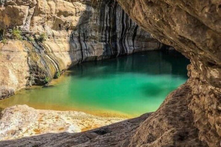 Private Tour in Wahiba Sands and Wadi Bani Khalid Adventure