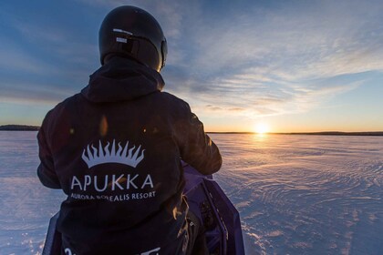 Rovaniemi: Halvdags snöskotertur