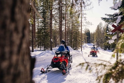 Rovaniemi: Half-Day Snowmobile Tour