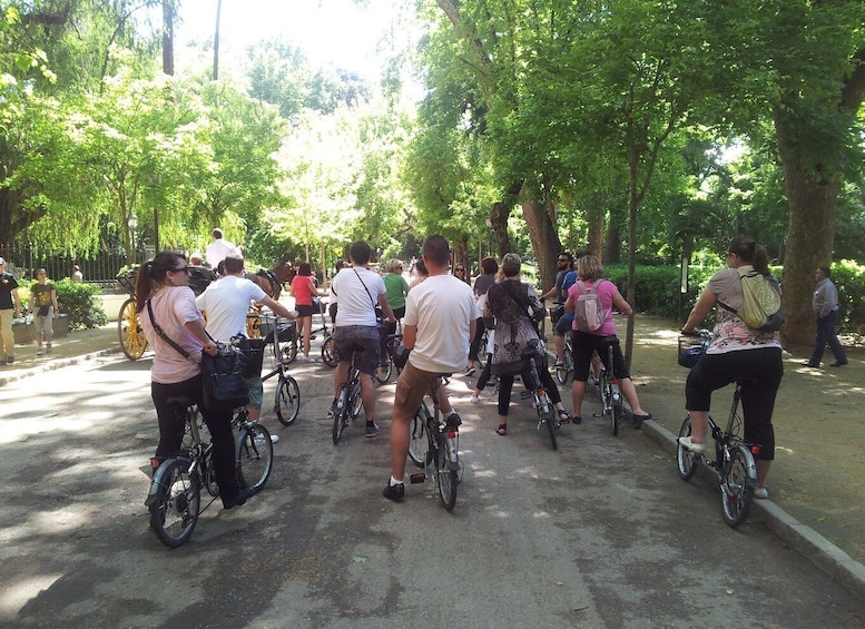 Picture 1 for Activity Seville: Half-Day Private Tour by Electric Bike