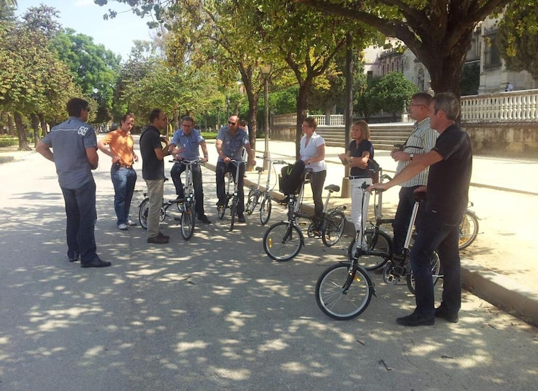 Seville: Half-Day Private Tour by Electric Bike