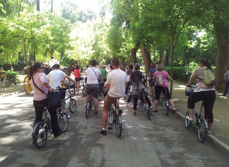 Picture 1 for Activity Seville: Half-Day Private Tour by Electric Bike