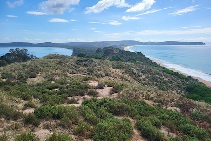 Signature Bruny Island Tour - Hobart & SE Tasmania