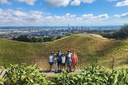 Private Auckland Best Top 5 Spots Half day Tour