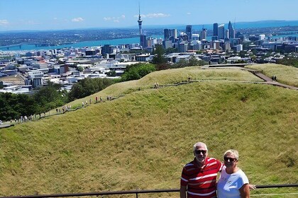 Private Auckland Best Top 5 Spots Half day Tour