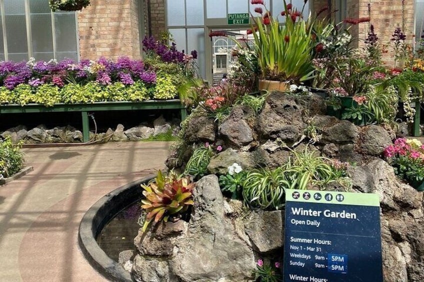 Winter Garden