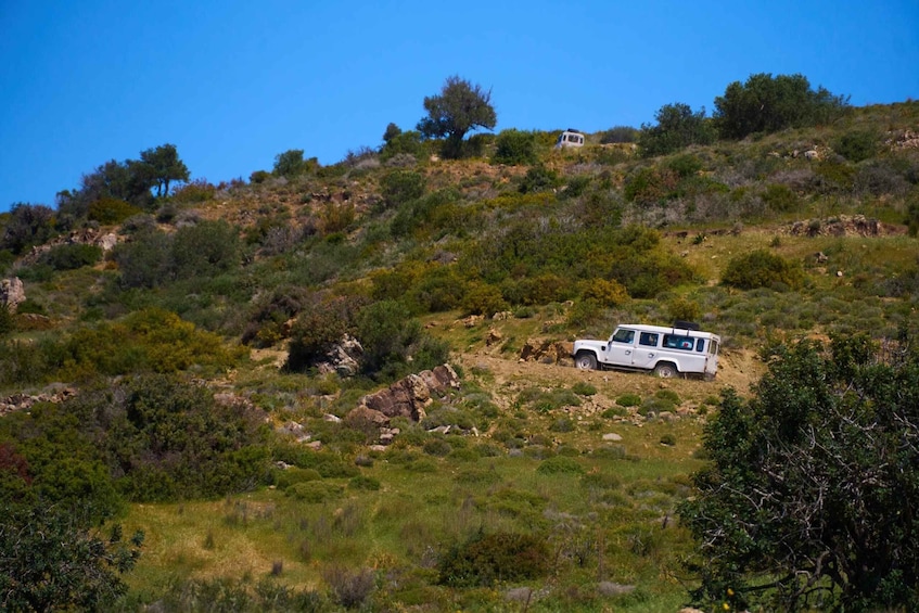 Picture 2 for Activity From Protaras: Full-Day Jeep Safari to Troodos with Lunch