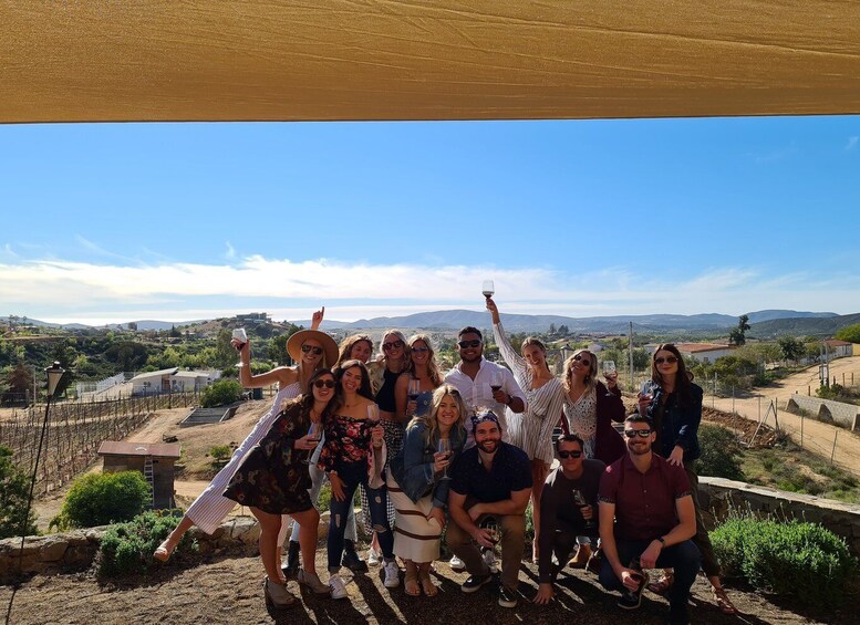 Picture 4 for Activity Private Tour at Valle de Guadalupe