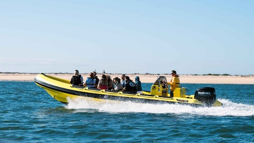 Vanuit Faro: Ria Formosa Hop-On Hop-Off 3 eilanden cruise