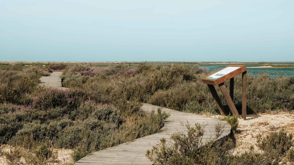 Picture 1 for Activity From Faro: Ria Formosa Hop-On Hop-Off 3 Islands Cruise