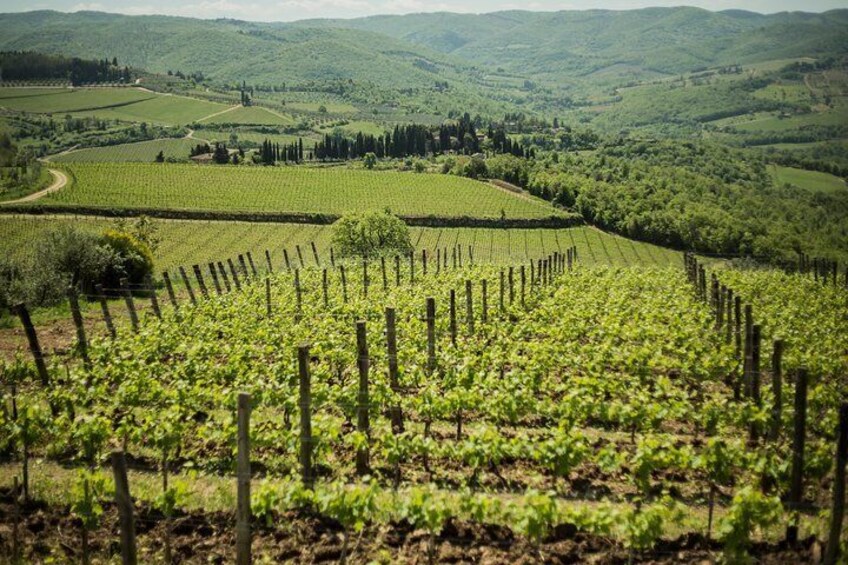 we are in the heart of the beautiful Conca D'Oro