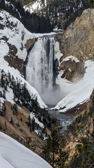 Picture 14 for Activity Yellowstone, MT: Lower Loop Private Tour