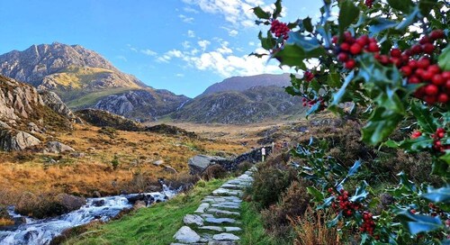 Von Manchester aus: Nordwales & Snowdonia Tag mit Zugfahrt