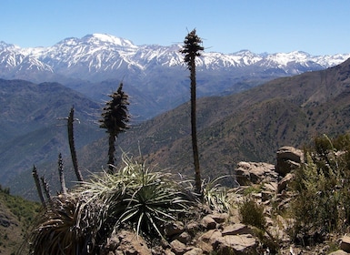 Från Santiago: Halvdagsvandring i Andernas bergskedja