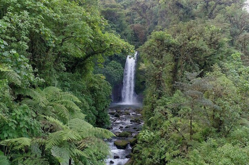 Catarata de la Paz